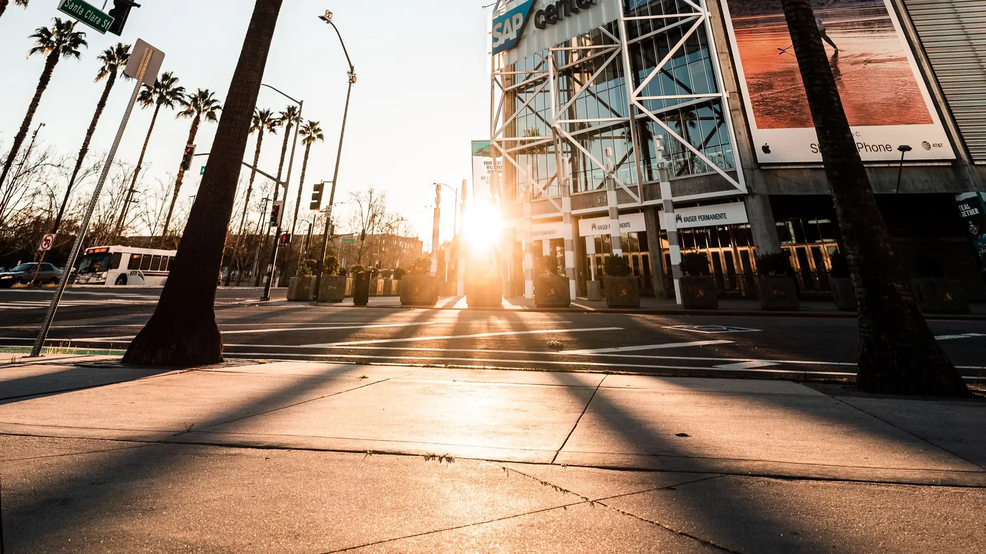 Palm trees and the SAP Center at sunset, downtown San Jose, California